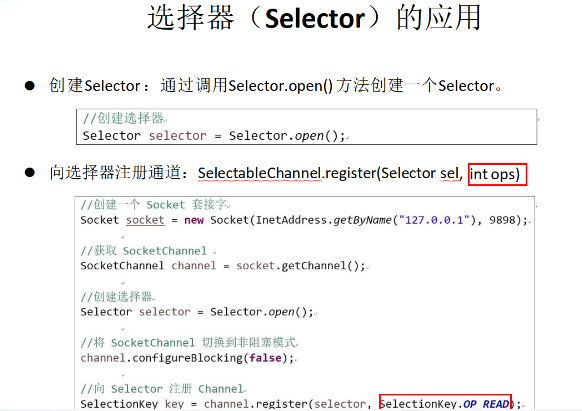 image-20240728112908237